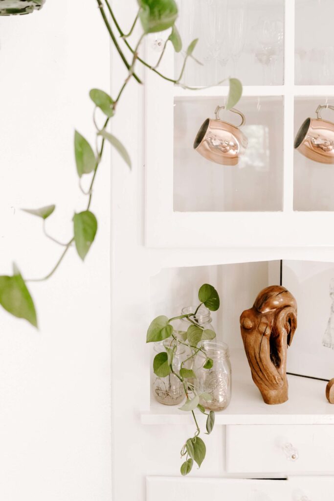 stock images for social media - Big Sky Home Interiors